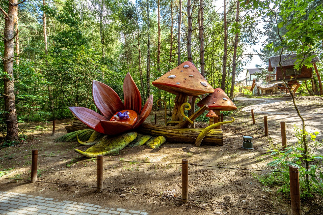 Fotografia z drona w Hossoland — ujęcie atrakcji parku rozrywki na Pomorzu z piękną roślinnością.
